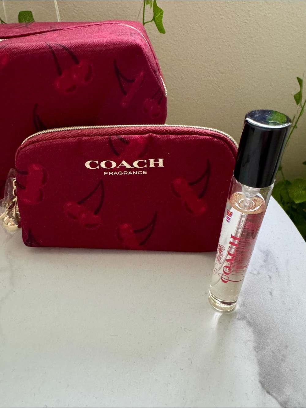 COACH 🍒 Cherry-Print Cosmetic beauty Pouch set - Picture 2 of 6